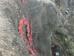 -九华山公园