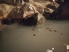 -湖泉半山温泉
