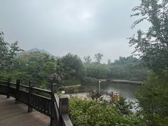 -李家庄村