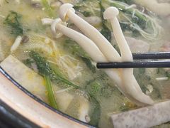 -15年老字号鑫鑫猪肚鸡·椰子鸡海南火锅(兴隆华侨农场店)