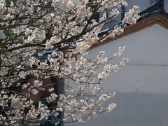 -燕子河大峡谷天坑仙境