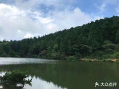 -四明山国家森林公园