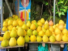-瑞丽独树成林风景区