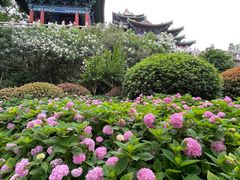 -阅江楼风景区
