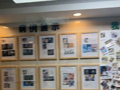 -半岛宠物医院24小时·内窥镜·牙科·碎石中心(府城大道店)
