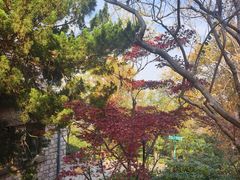 -紫金山天文台
