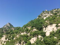 -大岭沟猕猴桃谷风景区
