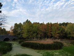 -长广溪湿地公园