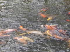 -西南政法大学(渝北校区)