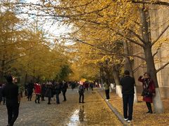 -辽宁大学(崇山校区)
