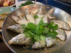 -吴记富苑(朝阳店)