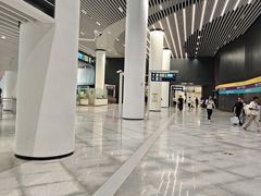 -望京西(地铁站)