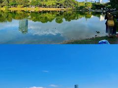 -莲花山公园