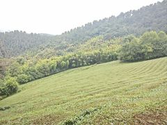 -敬亭山风景名胜区