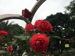 -文华公园(禅城区)