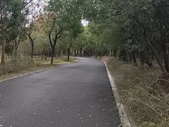 -蜀冈西峰生态公园