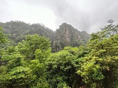 -庐山碧龙潭风景区