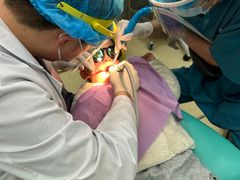 -泰康拜博口腔(凯迪大厦店)