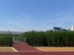 -西安浐灞国家湿地公园