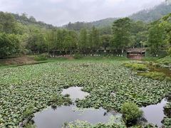 -番禺大夫山森林公园