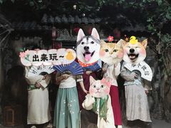 -夜幕浸入式超级密室(望京店)