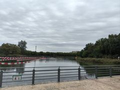 -大兴滨河森林公园