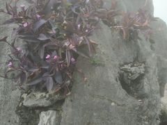 -桂林独秀峰王城景区