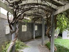 -美丽心情蛋糕(江苏路店)