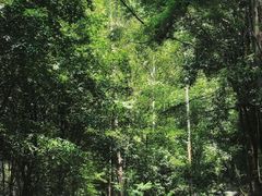 -滴水岩森林公园