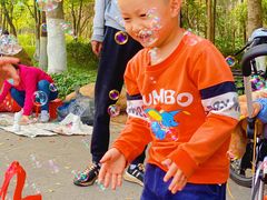 -火炉山森林公园