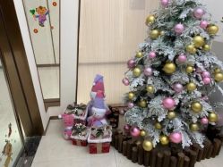 -小珂丽格医疗美容