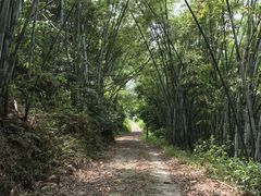 -彩虹桥宠物火化殡葬善终服务(金乐大厦店)