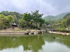 -广州市帽峰山景区