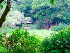 -深圳国际园林花卉博览园