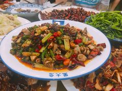 -江湖黑大兔(杨家坪店)