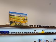 -ORANGE VISION橙光眼镜·蔡司