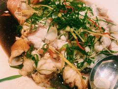 清蒸东星斑-大丰苑(海韵店)