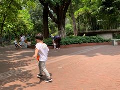-晓港公园