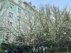 -黑龙江大学
