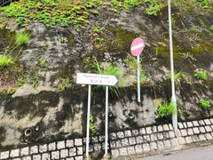 -太平山顶