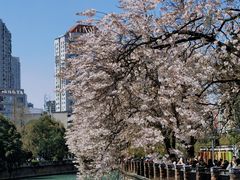 -红星桥(地铁站)