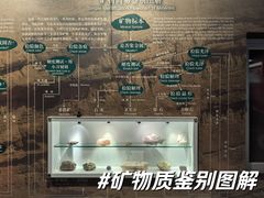 -中国地质博物馆