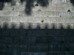-紫霞湖公园