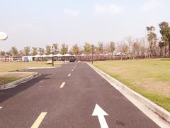 -春花秋色城市公园