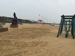 -碧海金沙