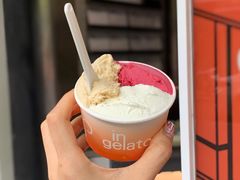 无花果叶-Dip in Gelato(富民路店)