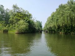 -溱湖国家湿地公园