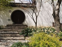 -上海醉白池公园