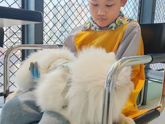 -怪兽屋·羊驼·猫咖·狗咖(俊华广场店)