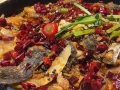 -老板恋上鱼(恒隆广场店)